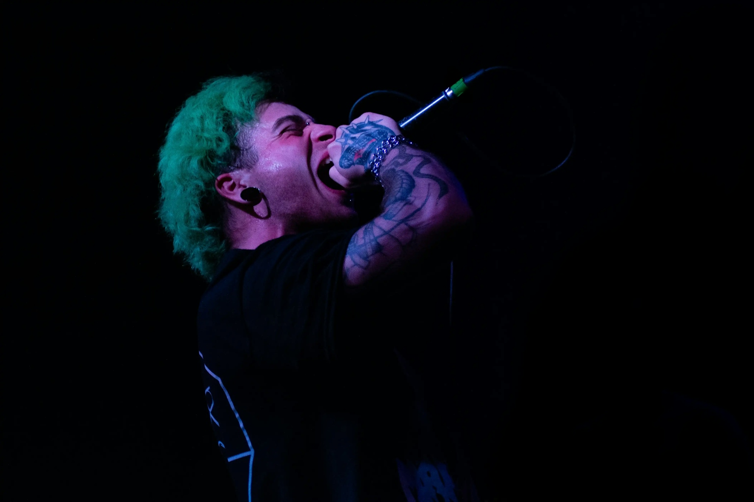 Cantante dai capelli verdi durante un concerto