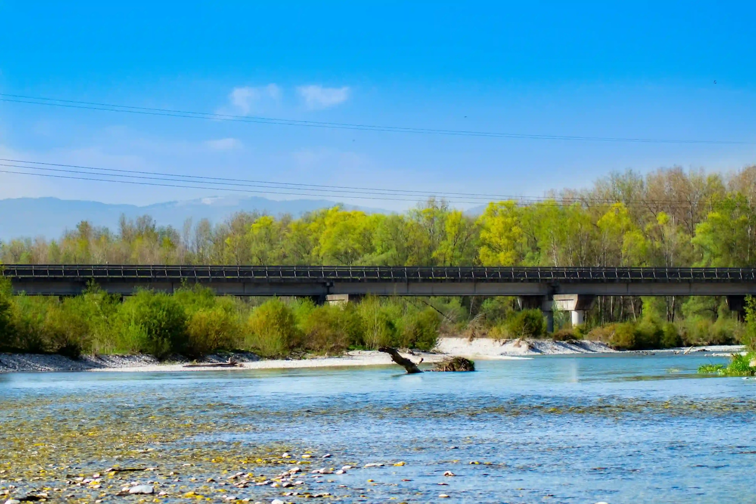 Ponte sul fiume Brenta con alberi sullo sfondo